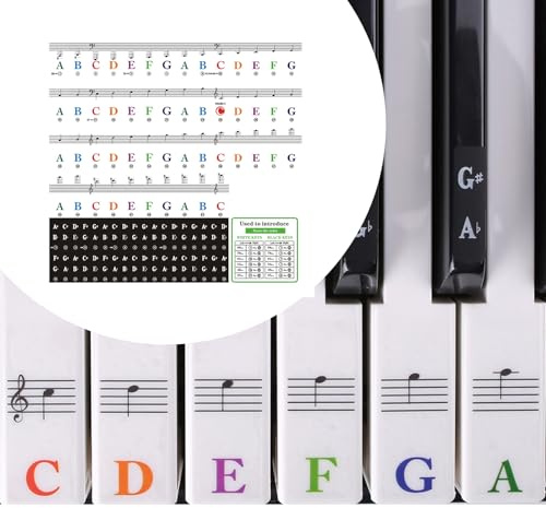 Klavier Keyboard Aufkleber für 88/76/61/54/49/37 Tasten | Noten Piano Sticker für Weiße & Schwarze Tasten Transparent und Abnehmbar für Keyboards Piano Lernen Anfänger