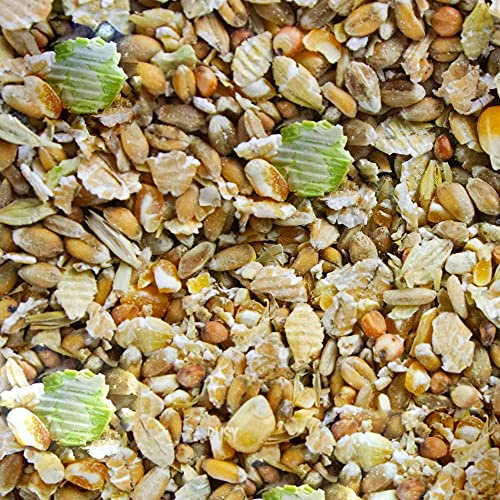 BusyBeaks Duck & Goose Mix | Natural and Healthy Diet for Wildlife | Premium Wild Garden Bird Food | Contains Balanced Vitamins, Nutrients & Minerals | Protein-Rich, Nutritious Feed Mixture (500g)