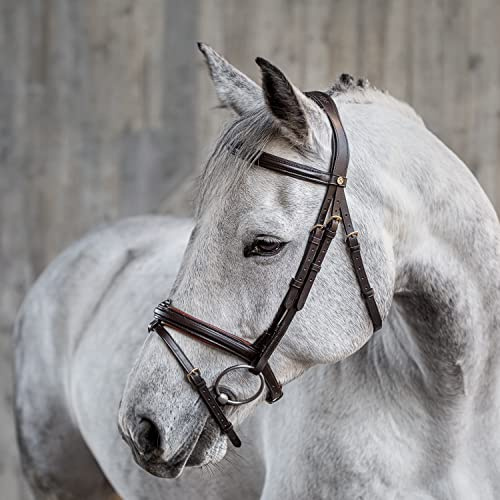 Sunride englisch kombinierte Trense Hawaii mit Zügel, aus weichem Echtleder, farbig unterlegt, verstellbar und anatomisch (Pony, braun/Cognac)