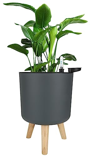 SHUESS Self Watering Plant Pots Indoor with Legs - Plastic Plant Pots Indoor 20cm - Indoor Pots for Plants with Water Level Indicator and Drainage Holes - House Plant Pot with Legs, Grey
