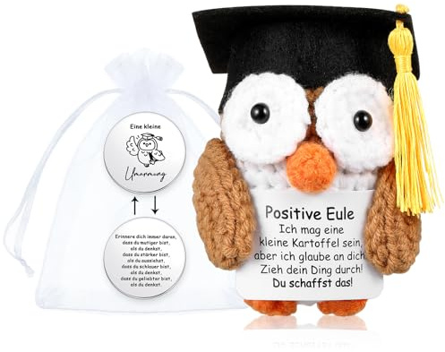 Otuuz Positive Eule Puppe und Kleine Umarmung Prüfung Glücksbringer | Du Schaffst Das Kreative Strickwolle Eule Puppe, Pocket Hug Mutmacher, Aufmunterung Gute Besserung Geschenk