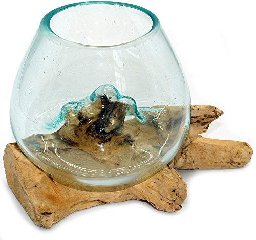 Wurzel mit Glasvase Rund Ø ca.11-12 cm Glas Kugelvase Vase auf Holz Wurzelholz (Wurzel 15-20 cm) Braun