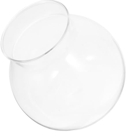 DECOMELODY Mikro landschafts Flaschen Aquarium Mittlere DIY Moos Pflanzendekor Tischvase für Fische und Wasserpflanzen Ökologisches ohne Deckel Vielseitig für Büro und Zuhause