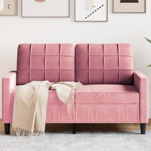 WEMYUFURN Modernes 2-Sitzer Sofa aus Samt mit Metallgestell – Bequemes Sitzmöbel für Wohnzimmer mit Polsterung und Stauraum