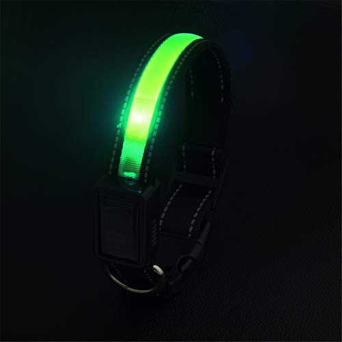 Avaner Leuchthalsband Hund Hundehalsband mit 2 Beleuchtungsmodi USB/Solar Wiederaufladbares Hunde Halsband Blinkende Hundehalsbänder für Hunde und Katzen Grün S