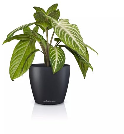 Lechuza Classico Color 14 Deco Table Pot Slate Grey, Matte Surface, Diameter 15 x 13.5 cm, 16680