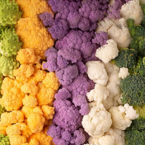 semillas de coliflor silvestre, raras, variedades antiguas, invernadero interior orgánicas. 200pcs