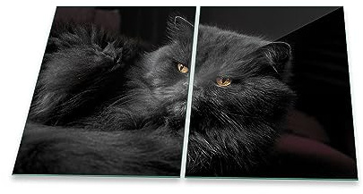 Herdabdeckplatte Abdeckung Ceranfeld Abdeckplatte Schneidebrett 2-Teilig 80x52 Katze Schwarz Spritzschutz Glasplatte Ceranfeldabdeckung Schutz Herdschutz Sicherheitsglas Glasschneidebrett 2x40x52