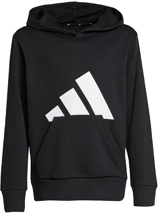 adidas Unisex - Bambini ESSENTIALS BIG LOGO HOODIE, Black / White, 13-14 Years