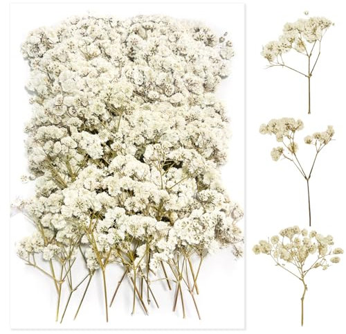 100 pezzi paniculata conservata (bianco) - Fiori secchi piccoli naturali per gioielli in resina e fai da te