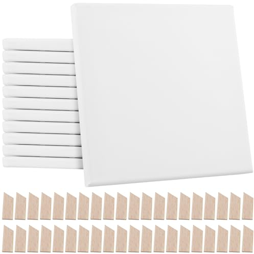 ZOENHOU 12 stycken målarduk för målning – 20 x 20 cm, 280 g/m² professionell kilramsduk för akryl och oljefärg, förgrundad konstnärsmålarduk för nybörjare och proffs (inkl. 96 kilar)