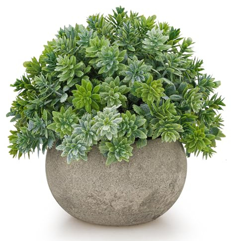 Folmywy Mini Sage Green Boxwood Topiary Artificial Potted Fake Table Plant