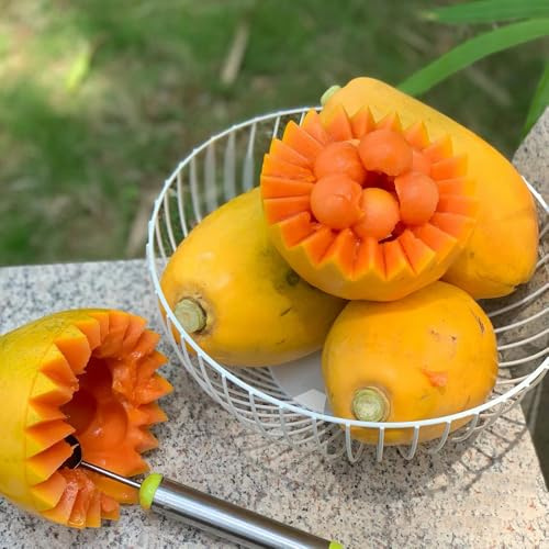 papaya - a crescita sostenibili giardino roccioso con interno 300semi