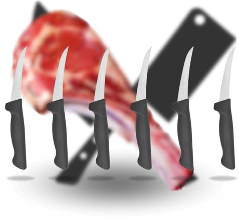 TronicXL 6 Stück Profi Ausbeinmesser starr Metzgermesser Deutscher Stahl Messer Metzgerei Küchenmesser Grillmesser Schlachtermesser Ausbeinen