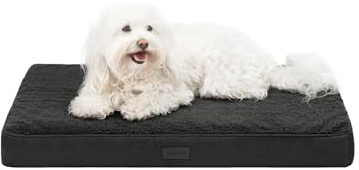 lionto Lit orthopédique pour Chiens, 76x51x8 cm, Coussin Robuste en Peluche Douce, Housse Lavable, antidérapant, imperméable, pour Petits et Grands Chiens et Chats, Noir