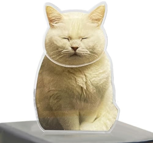 zwxqe Wackelkopf-Katze, niedliche Katzenornamente, Armaturenbrett-Katzendekoration, Acryl-Auto-Ornamente, Tier-Shaking-Kopf-Dekor, Auto-Armaturenbrett-Zubehör, niedliche Armaturenbrett-Dekorationen,
