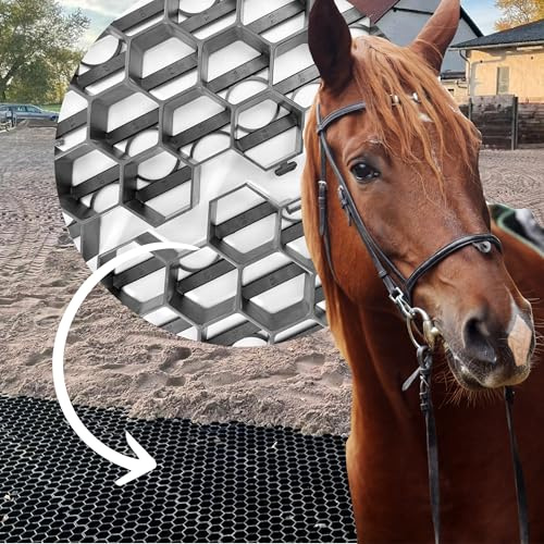 25x Premium Paddockplatten mit Klicksystem, Schwarz, 55x38,5x3,5 cm Paddock, Reitplatz, Rasengitter, Kunststoff, Made in Germany (5,00m² = 25 Platten)