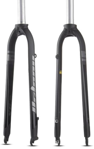 LHHL FORCHI RIGIDI Bike MOUNTAGE 29in Road Bici Fork MTB FORCHIO Freno di Freno Disco FORCHIO FORCHIO FRITTURA 1-1/8 ULTRIGHT FLIFFICA QUILLIGHT QR 9MM 800G