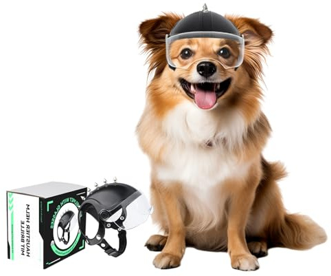 NAMSAN Motorrad Hundehelm mit Anti-UV Schutzbrille Fahrradhelm für Kleine Hunde mit Visier (mit Nieten)