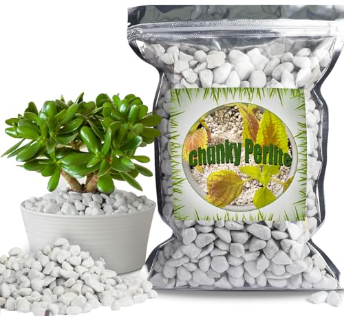 Perlite grossière pour Plantes (1 à 2 cm de diamètre), additif Naturel pour Le Sol, améliore Le Drainage et la Ventilation, favorise la santé du Sol et la Croissance des Racines (2L)