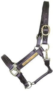 German Riding Edles Lederhalfter mit individueller Gravurmöglichkeit braun (Full)