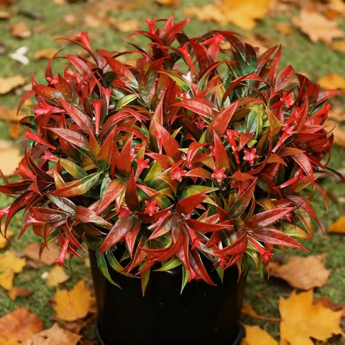 Uieke 6Pcs Outdoor Artificial Plants UV Resistant Fake Tropical Flowers Plastic Plants Morning Glory Shrubs Greenery Fall Leaves Foliage for Hanging Planter Patio Décor Red