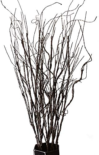 FeiLix 10PCS Artificial Branches Decorative Dry Twigs, 30.7 Inches Fake Greenery Plants Indoor Outdoor Vintage Vines/Stems for Home Garden Hotel Office Party Kitchen Decorations