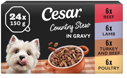 Cesar Country Stew Adult Wet Dog Food, Special Selection, Pack of 3 (3 x 8 Trays x 150 g)