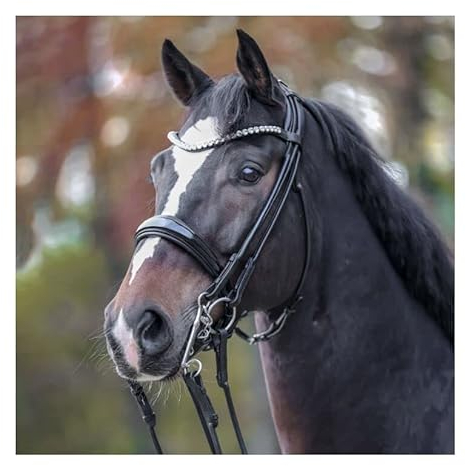 Kandare FLEUR schwed.- rundgenäht