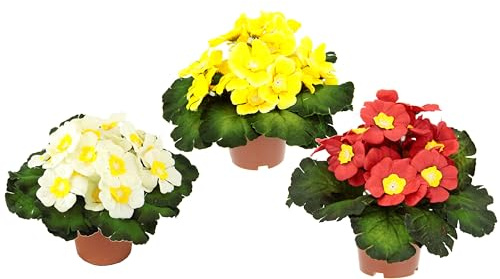 Künstlicher Primelbusch mit Blätter im Topf Primeln Pflanze Kunstblume Seidenblume Topfpflanze Zimmerpflanze Blume Primula Schlüsselblumen Kunstpflanzen Frühlingsblüher Frühling Frühjahr Deko