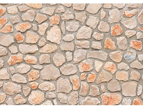 Runa Art Fototapeten 396 x 280 cm Steinwand - Vlies Wanddekoration Wohnzimmer Schlafzimmer - Deutsche Manufaktur - Beige 9487012a