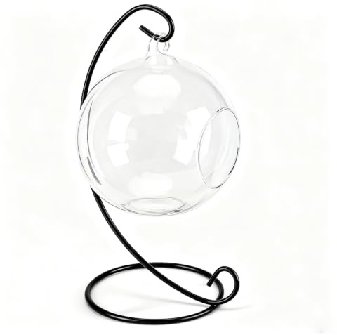 Lazmin Vase en Verre Suspendu, Grand Terrarium en Forme de Boule avec Cadre pour Plantes à Plantes Grasses