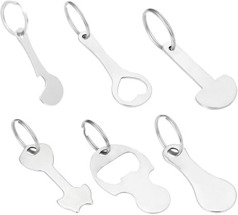 DHWEKU 6 Pièces Caddie Jeton Caddie Universel Puce pour Caddie Jeton pour Caddie en Acier Inoxydable Clé en Forme Jeton pour Les Caddies, 6 Modèles Jeton De Caddie