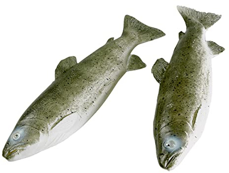 Deco Woerner Deko-Forellen 2 Stück Lebensmittel Attrappen aus Kunststoff frischer Fisch Meerestiere Fake Dummy Dekoration Imitat Plastikessen