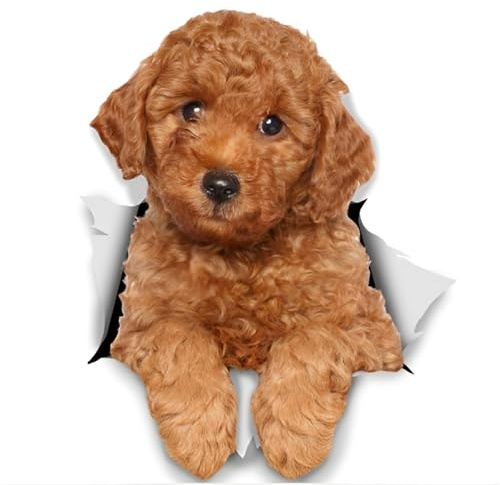Autoaufkleber Pudel Aufkleber 15cm(5.9 Inch) Poodle Car Sticker 3D Zerrissen Reflektierende Autoaufkleber Wasserdichte Haustier Hund Lustig Aufkleber Laptop Stoßstange Heckscheibe Dekor