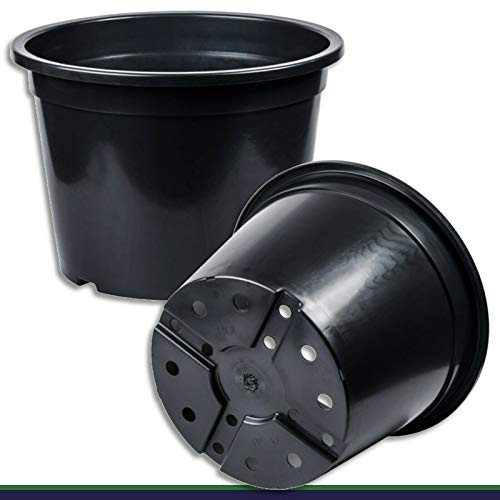 Wohnkult Anzuchttopf XXL Pflanztopf 80 L schwarz Ø 56 cm x 42 cm Blumentopf Blumenkübel Pflanztöpfe Palme