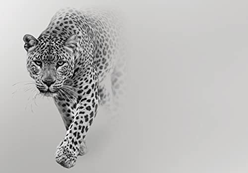 WallArena - Vlies Fototapete Leopard Jaguar Tiger Tiere Afrika 368x254 cm - Fototapeten - Tapeten - für Wohnzimmer Schlafzimmer - Vliestapete Wandtapete Tapete 3D Effekt- inkl. Kleister