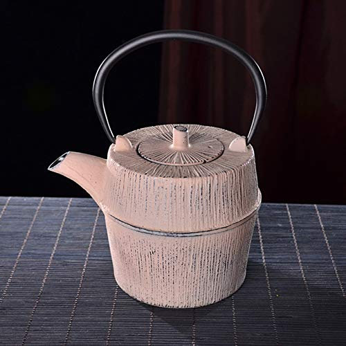 OZBMA Bouilloire sifflante en Fonte avec infuseur en Acier Inoxydable, Compatible avec Toutes Les Sources de Chaleur.