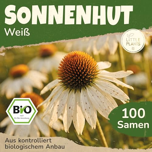 Little Plants BIO Sonnenhut Samen 100 Sonnenhutsamen Weiß Blumensamen Echinacea Samenfest für Blumengarten Blumen Saatgut Balkon und Garten