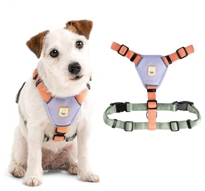 Woolly Wolf Color Block Hundegeschirr für kleine Hunde S – Geschirr mit Reflektoren & 5-Punkt-Anpassunsgsystem aus 100% recyceltem Polyester, einfaches An- und Ausziehen