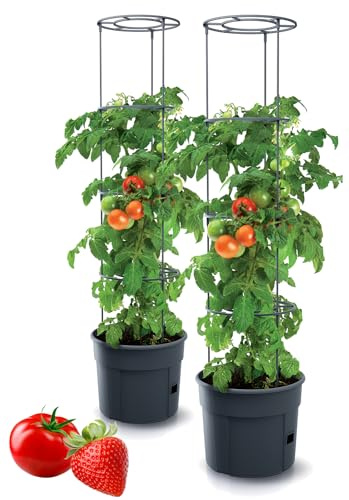 Tymar 2 st tomatkrukor med spaljé och vattentank Ø 35 cm
