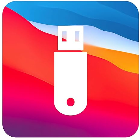 D-S Systems Installation-Bootstick kompatibel mit MacOS 11 Big Sur | Bootfähiger Bootable USB für Installation / Update / Downgrade