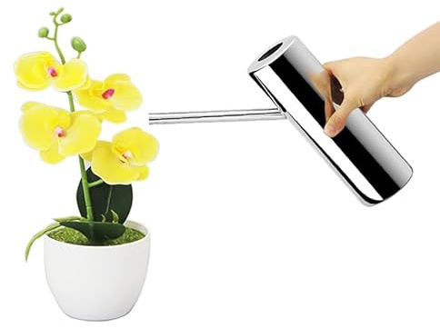 1.1L / 37oz Watering Can Vase Stainless Steel for Indoor Outdoor Use - Small Metal Mini Watering Can for Indoor Plants, House Plants, Bonsai, Herb Garden, Kitchen, Flower Pot, Long Spout Nose, Silver