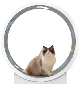 DWZXL Katzenrad Laufband for Katzensport, 1,2 Meter, großer Durchmesser, Rollen-Klettergerüst for Katzen, großes Sport-Laufrad for Katzen Cat Wheel