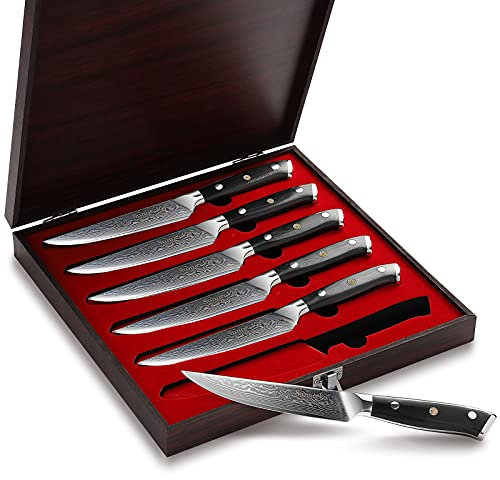 Sunnecko Couteaux à Steak en Acier Damas 73 Couches, Coffret Couteaux de Table Japonais 6 Pièces Lame 13cm, Set Couteau Cuisine Viande Manche G10