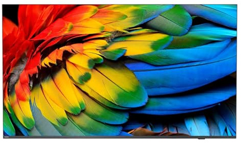 Philips 43HFL6214U 109,2 cm [43] 4K Ultra HD Smart TV Wi-Fi Antracite 400 cd/m? Display arrotolabile (43 43HFL6214U/12 Commercial TV - 43 Black Commercial TV 4K UHD 400 cd/m2 2 x HDMI)