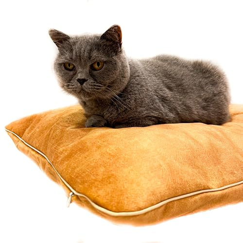 Halkalife Katzenkissen aus dickem Polstermaterial - Kissen für einen kleinen Hund und Welpen - Katzenbett aus Samt - Flauschiges, waschbares Katzenkissen (Gelb, XS)