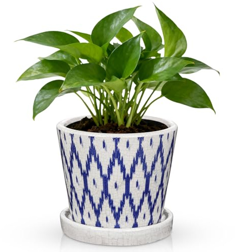Oairse 14cm Blue and White Ceramic Plant Pot with Drainage Hole & Saucer, Crackle Glaze Flower Pot for Indoor Plants, Decorative Planter for Home, Office, Windowsill, Outdoor
