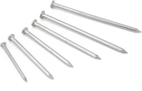 Hardware Nails, Cement Nail Flat Head Concrete Nails 304Stainless Steel Woodworking Round Nails(20pcs 2.0 Inch)