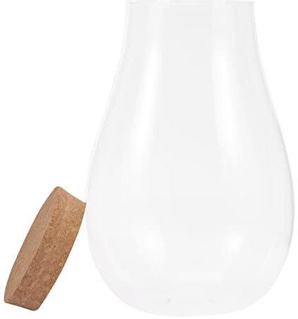 TOPBATHY Öko-glasflasche Für Pflanzen-landschaften DIY Leere Glasbehälter Zum Bepflanzen Oder Dekorieren Transparente Terrarium-glasflasche Für Zuhause